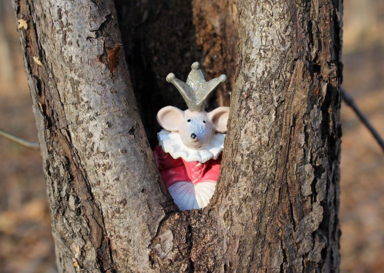 Rat King in a tree
